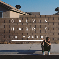 Calvin Harris - I Need Your Love (feat. Ellie Goulding) artwork