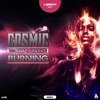 Burning (feat. Shaz Sparks) - Single