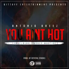 You Aint Hot (feat. D Money Martinez) - Single by Antonio Breez album reviews, ratings, credits