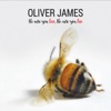 Oliver James - The More You Love, The More You Live