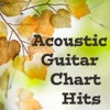 Acoustic Guitar Chart Hits