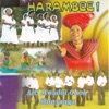 Harambee, 2013