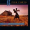 Shine On You Crazy Diamond, Pts. 1-4 - Pink Floyd lyrics