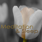 Meditation & Sleep – Zen Music Relaxing Sleeping Mindfulness Meditation Music, Peaceful Mind Music for Good Night, Sleeping & Dreaming - Asian Meditation Music Collective