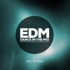 EDM Dance in the Mix (Best of Ibiza)