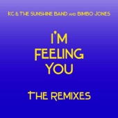 I'm Feeling You - The Remixes artwork