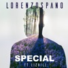 Special (feat. Liz Hill) - Single