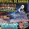 Festival De Bandas - 30 Éxitos, 2015