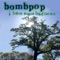 My Dog Lazarus (I Can Feel the Sun Shine) - Bombpop lyrics