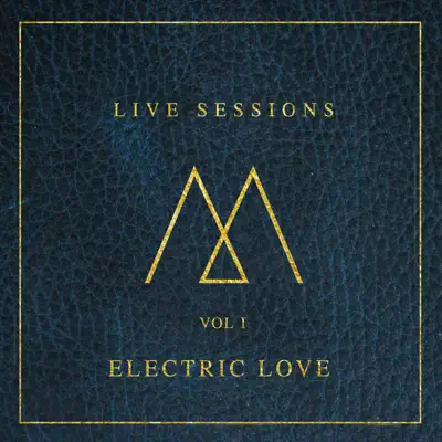 Electric Love (Live Acoustic Version) - Single - Madilyn Bailey