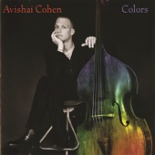 Avishai Cohen - Voice