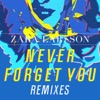 Zara Larsson - Never Forget You