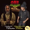 Half Pint - Journey of Life