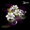 Stream & download Vacuum Cleaner