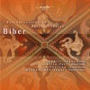 Daniel Sepec, Martin Haselbock & Vienna Academy Orchestra - Der glorreiche Rosenkranz: No. 16 in G Minor, Passacaglia, Schutzengel-Sonate