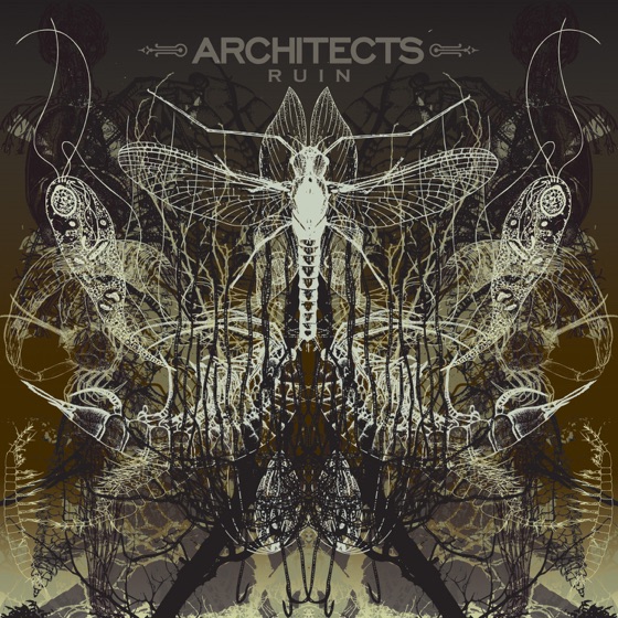 Cover artwork for Hunt Them Down
