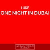 One Night In Dubai (Damolh33 Remix) artwork