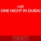 One Night In Dubai (Damolh33 Remix) artwork