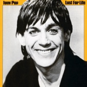 Iggy Pop - Success