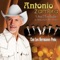 A Fuerza Ni los Zapatos - Antonio Zamora & Los Hermanos Peña lyrics