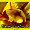 Chillout Flowers, Vol. 4 (Cool Grooves)