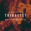 Stream & download Tribalist (feat. Amine Ben, Drum Soul & Alex Lyng) - Single