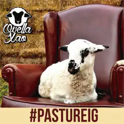 #Pastureig - Ovella Xao