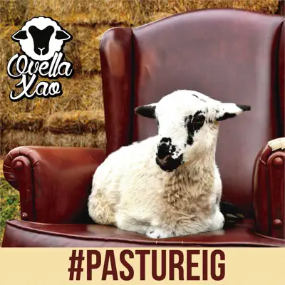 #Pastureig - Ovella Xao #Pastureig - Ovella Xao