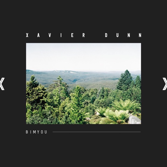 Cover artwork for Fancy
