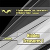 Hidden Treasures 1 - Single