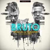 Bruto artwork