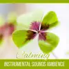Calming Instrumental Sounds Ambience - Mantra Music for Quiet Moments, Reiki Sound Healing, Gentle Flute & Piano Relaxation album lyrics, reviews, download