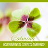 Calming Instrumental Sounds Ambience - Mantra Music for Quiet Moments, Reiki Sound Healing, Gentle Flute & Piano Relaxation