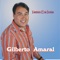 Ora Vira, Vira, Vira - Gilberto Amaral lyrics