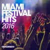 Miami Festival Hits 2016, 2016