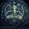 Zealot (Lpf12 Version) - Snowbeasts lyrics