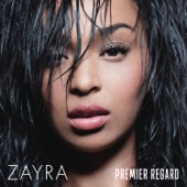 Premier regard cover
