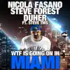 Wtf Is Going On In Miami - Single album lyrics, reviews, download
