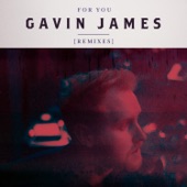 Gavin James - For You (Bearcubs Remix)