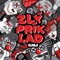 Zlý Príklad (feat. Separ & Matej S.) artwork