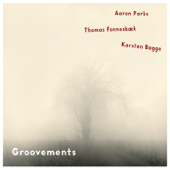 Groovements - Aaron Parks, Thomas Fonnesbæk & Karsten Bagge