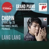Chopin: Études artwork