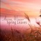Pink Heart - Aaron Winsor lyrics