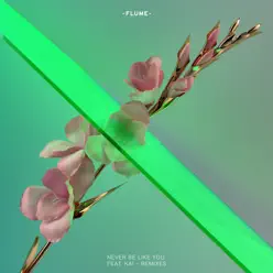 Never Be Like You (feat. Kai) [Remixes] - EP - Flume