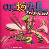 Cocktail Tropical, Vol. 2 artwork