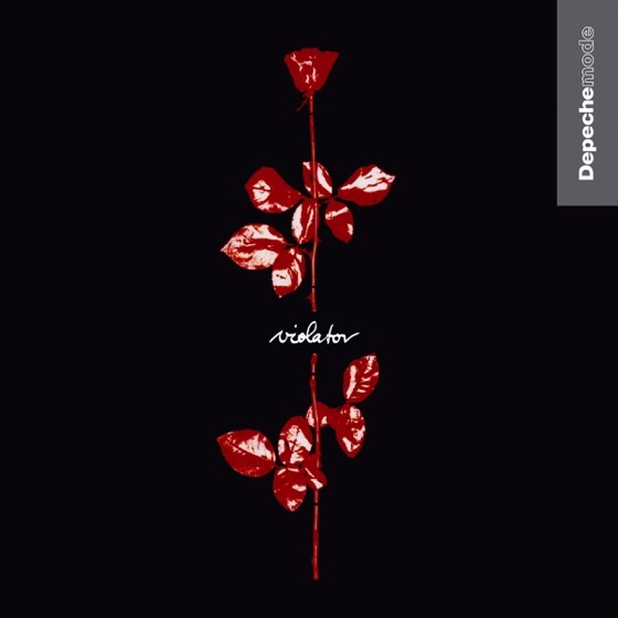 Cover artwork for Clean