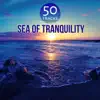 Sea of Tranquility - Music for Deep Sleep Meditation, Healing Sounds for Trouble Sleeping album lyrics, reviews, download
