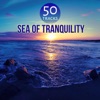 Sea of Tranquility - Music for Deep Sleep Meditation, Healing Sounds for Trouble Sleeping