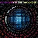 Victor Wooten - It's All Right