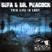 This Life Is Lost - Dr. Peacock & Sefa
